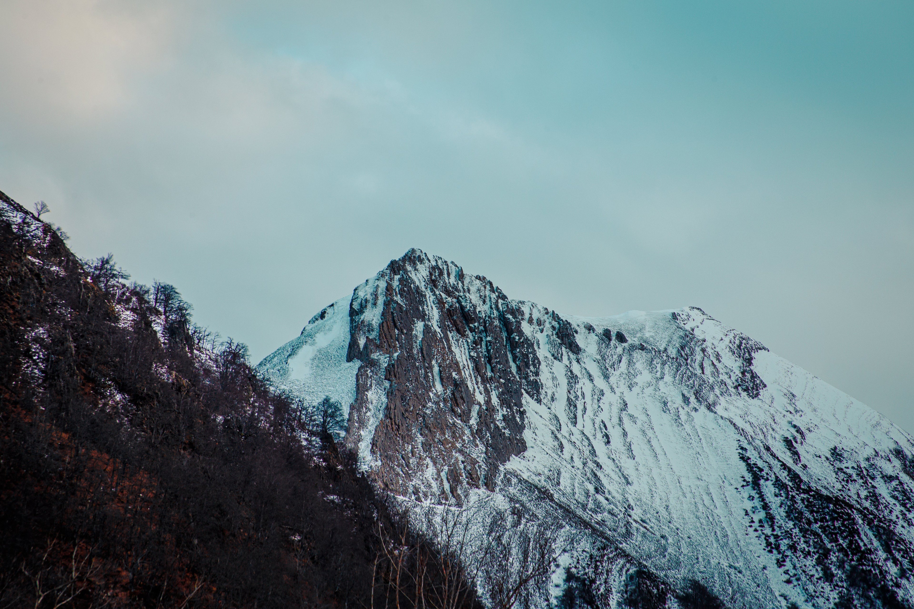 WINTER ´25
