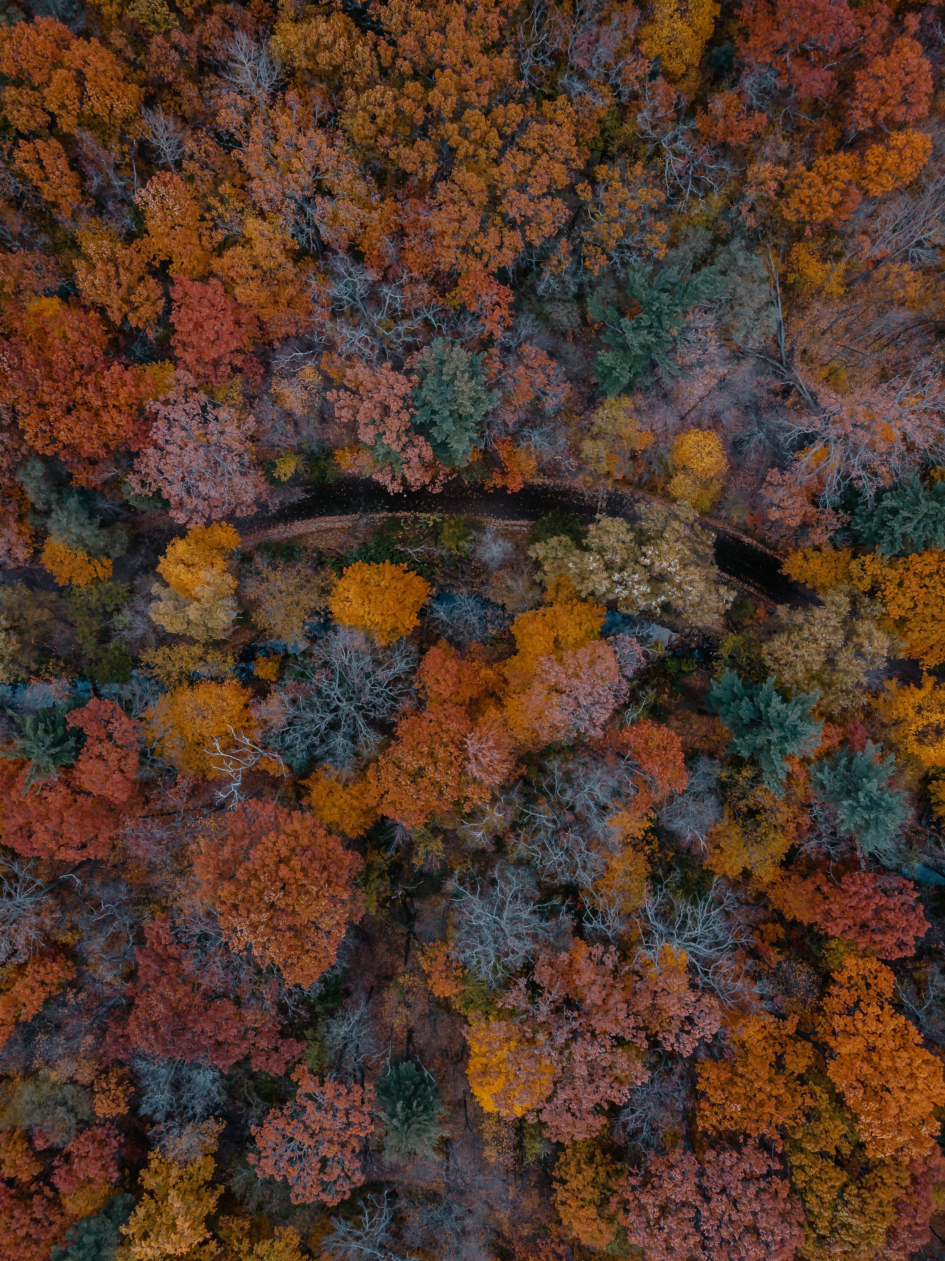 FALL ´25